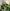 zdjęcie #6 - Kolorowy kosz kwiatów mieszanych: Storczyki cymbidium, róże, eustoma, santini, dodatki