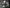 zdjęcie #19 - Fioletowy bukiet storczyków z białymi, wiosennymi dodatkami